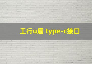 工行u盾 type-c接口